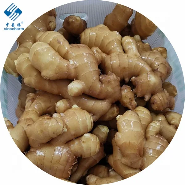 Свежие овощи из Китая промытый имбирь свежий имбирь