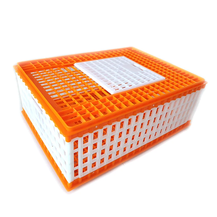 Plastic chicken used poultry carrier crates poultry transport cages