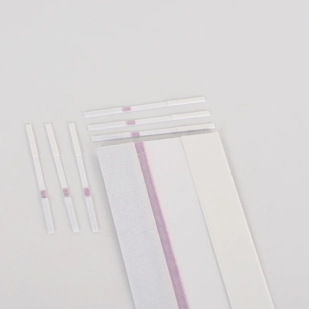 urine pregnancy test strip type high accuracy HCG rapid test uncut sheet hcg test