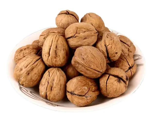 Wholesale Rich in Nutrition Walnut and Paper Shell Walnut from Xinjiang