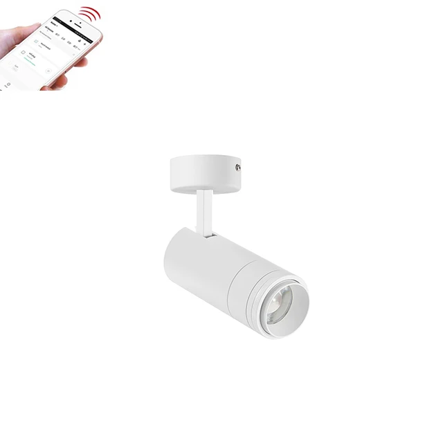 SZDAYTON Lighting Leica B Zoom Series Intelligent Track Surface light Zigbee Tuya APP LED Track Light 20W 30W