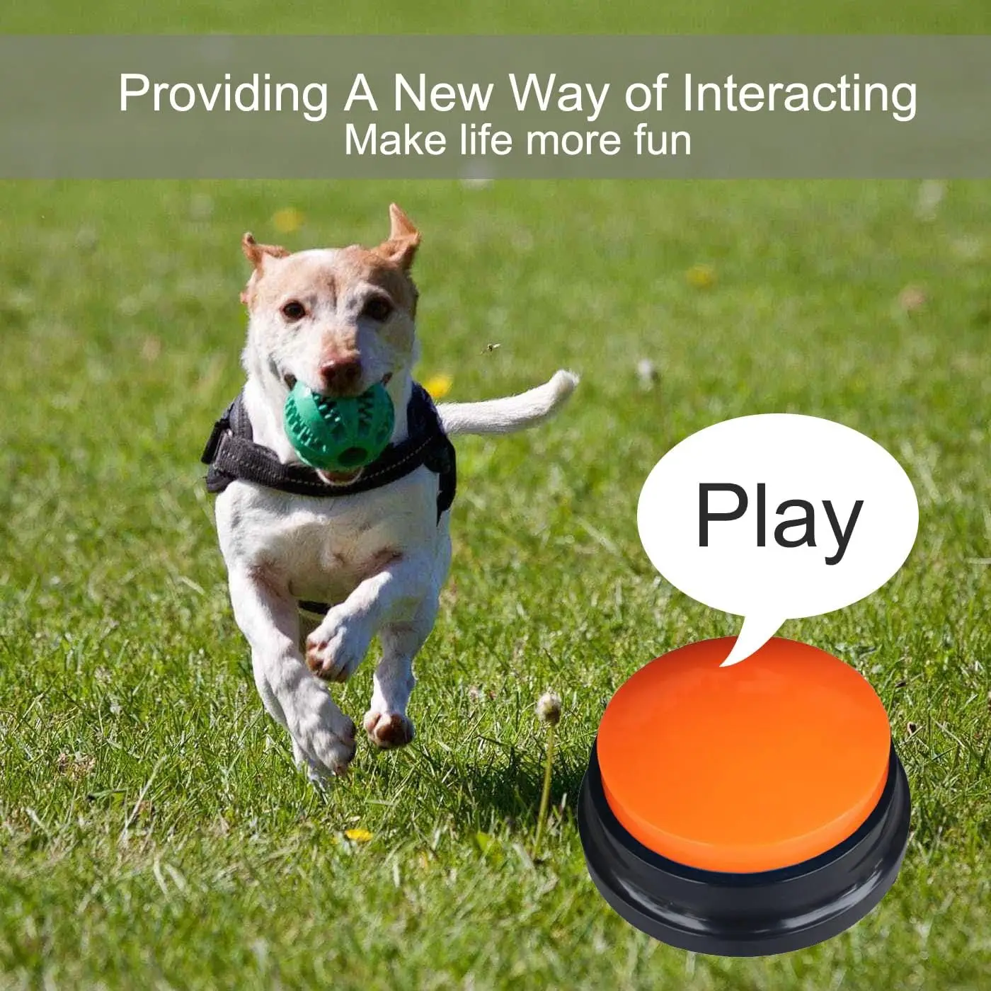 Pet Communication-Speaking Button for Dog Training Funny Gift for Study Office Home Voice Recording Button Pet Training Buzzer
