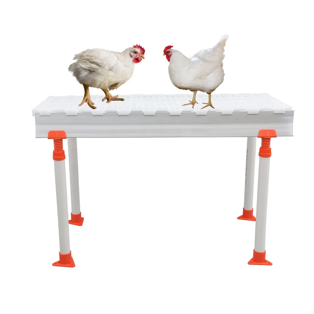 Extremely hygienic 1200*500 mm  Non-rotting broiler farm plastic chicken slats floor for poultry farm