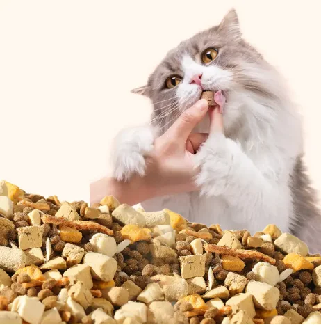 Oem Odm Factory Direct Pet Shop Wholesale Dog Food 5Kg 10Kg Chicken Flavor Pet Food Dry Cat Food