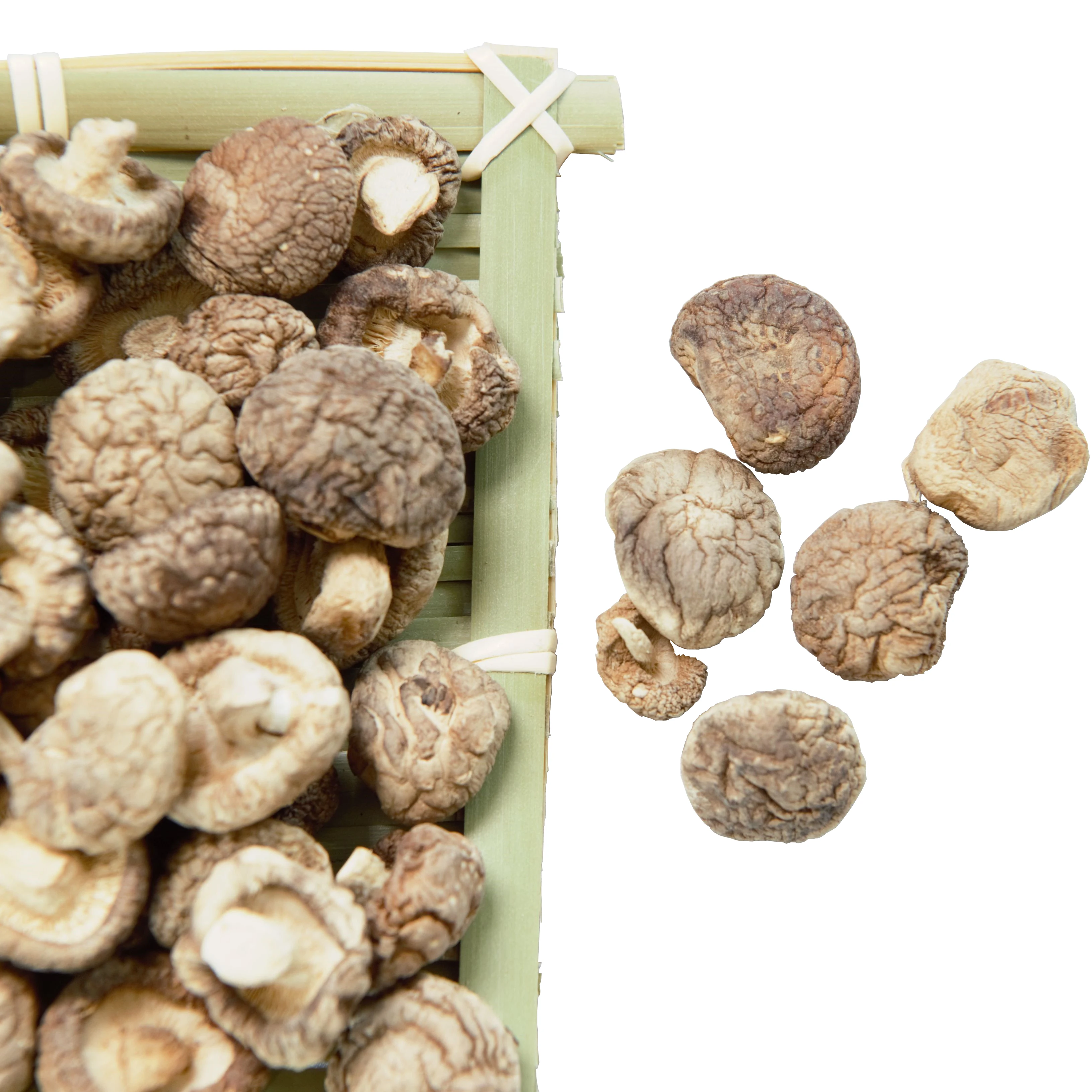 Сушеные грибы Shiitake оптовая продажа с завода 2-6