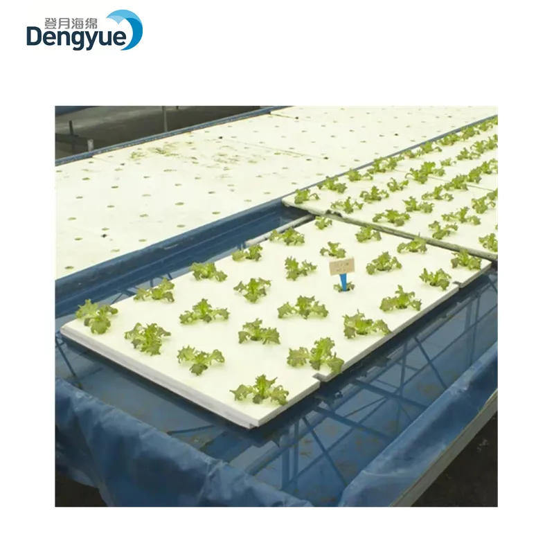 Eco-friendly 72 cell nontoxic greenhouse farm EPS manufacturer hydroponic seed tray