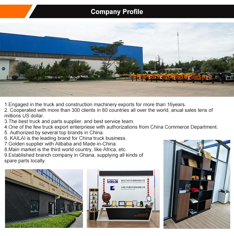 Oem Truck Origin Type Place Model Market Heavy Truck Parts WD618 Diesel Engine