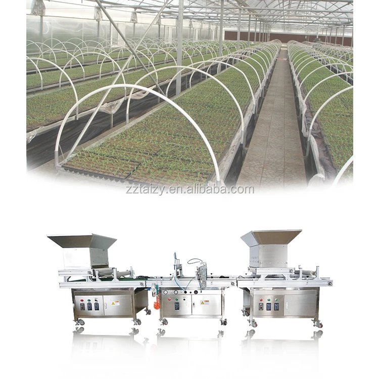 onion seeders transplanters paper pot seeder plates vegetable tray seeding machine
