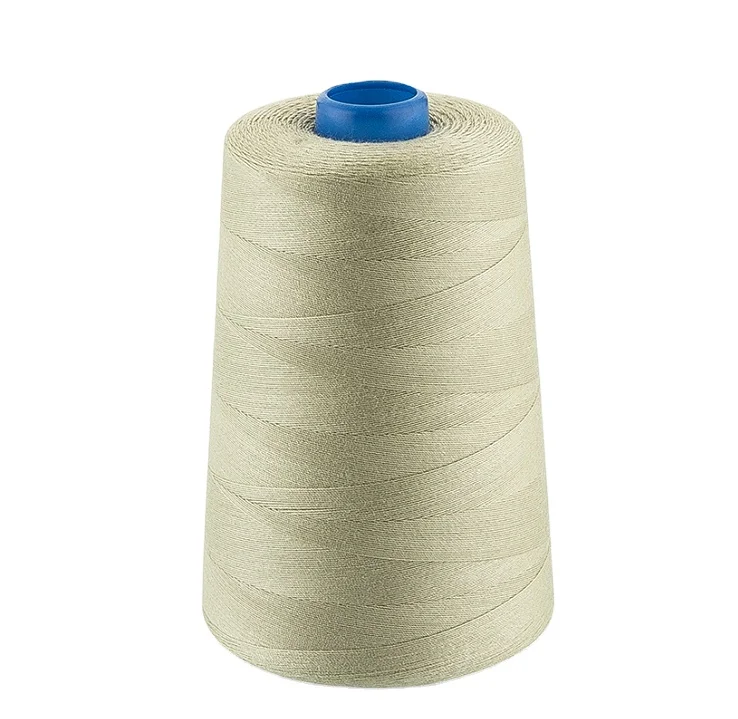 Hot Sale Factory Sale 100% Polyester Sewing Thread Elastic Thread 30/3 3000y