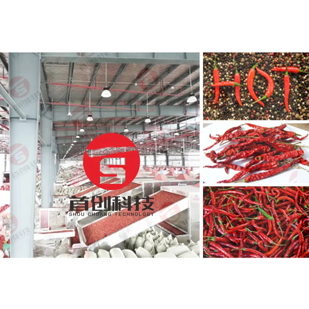 24 tons/24 Hrs automatic bird eye chili hot pepper belt drying machine with energy saving heat pump units