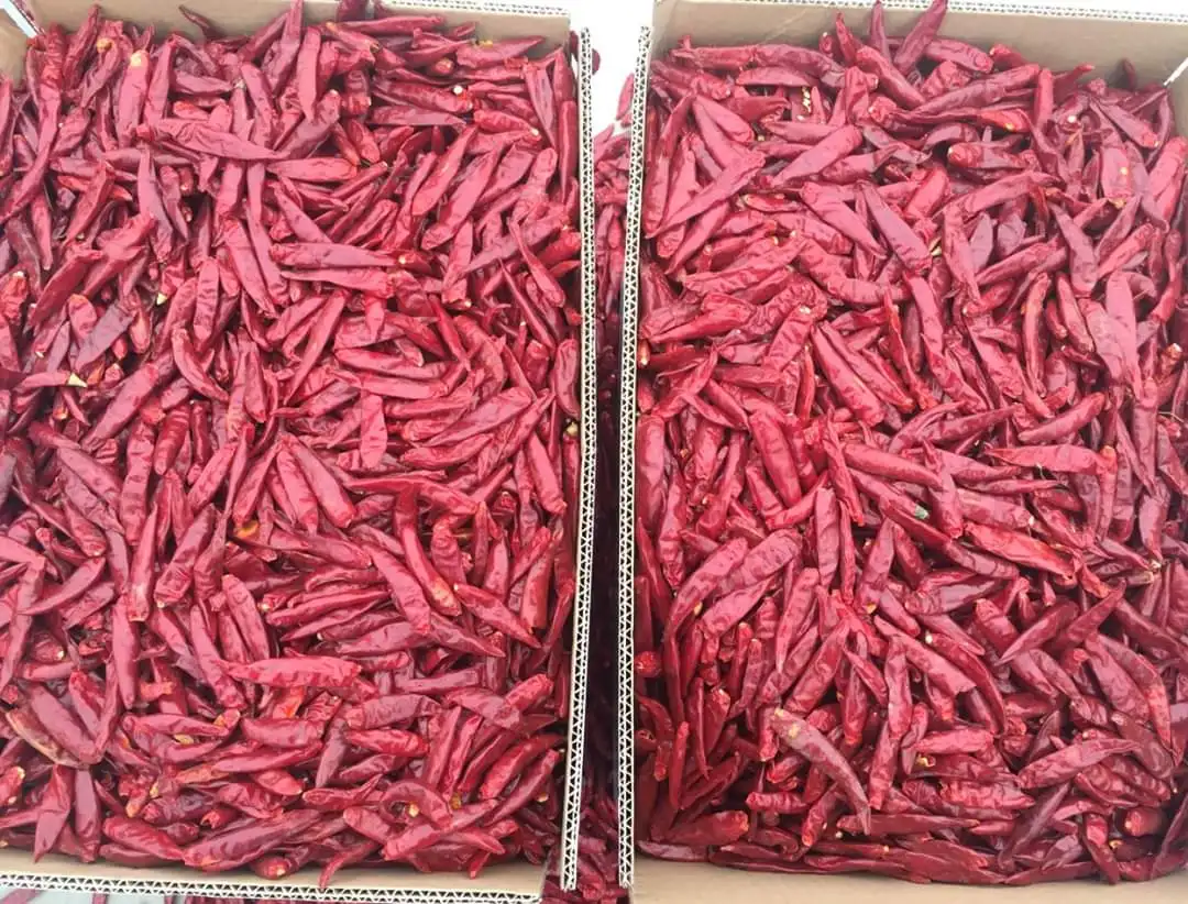 Single spices paprika and chilli single herbs seasoning peppers