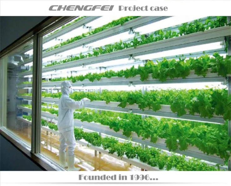 ChengFei Pineapple Type Vertical Hydroponic Planting System