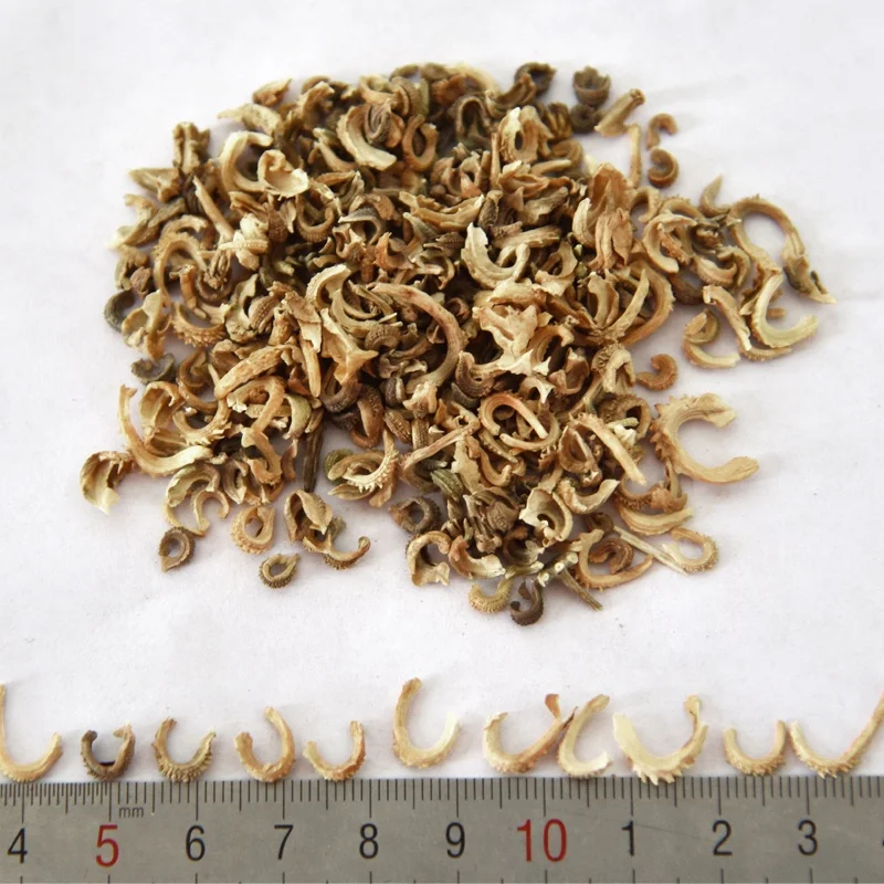 
Factory Wholesale Peach Color Calendula Officinalis Seeds For Planting 