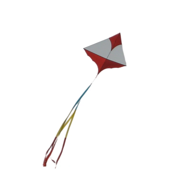 Hot Sell Big 3D Kite For Fly