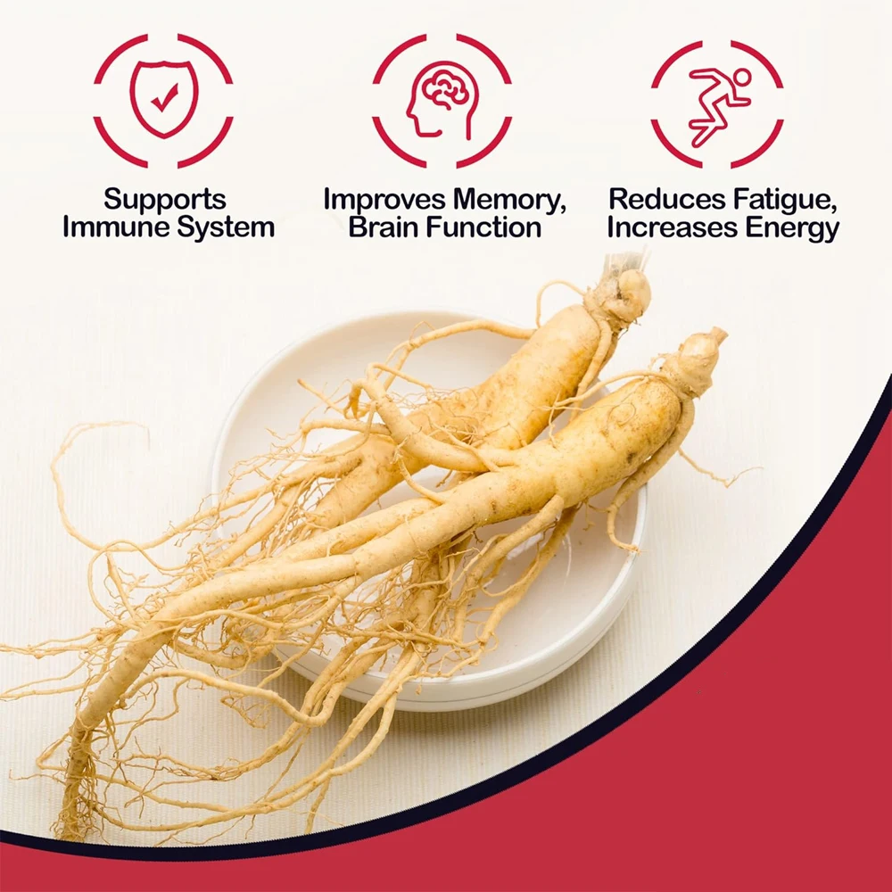 Herbal Supplement Energy Focus Maca Ganoderma Lucidum Ginseng Tea Organic Ginseng Sliced Ginseng Root