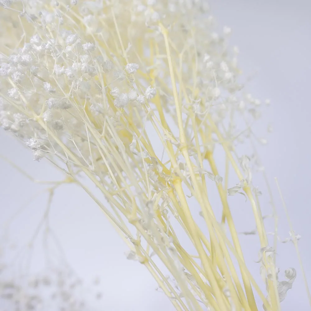 UKIQUEEN Wholesale 70cm Bleached White Decorative Dried Flowers Baby Breath Preserved Gypsophila