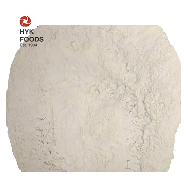 active gluten powder cheap and fine protein  wheat gluten