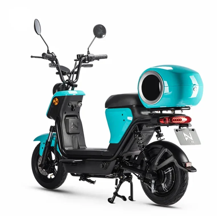 EEC 48V24Ah Electric Motorcycle 25kmh Electric Scooters with 810W Brushless Motor Electric Bike adult electric tricycle