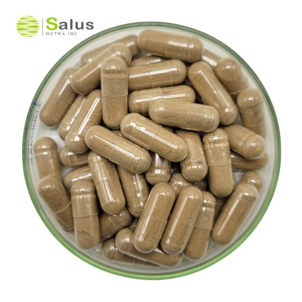 Pygeum Africanum Extract Capsules Pygeum Supplement 500mg 61 Capsules OEM Private Label For Male Prostate Health, Bladder