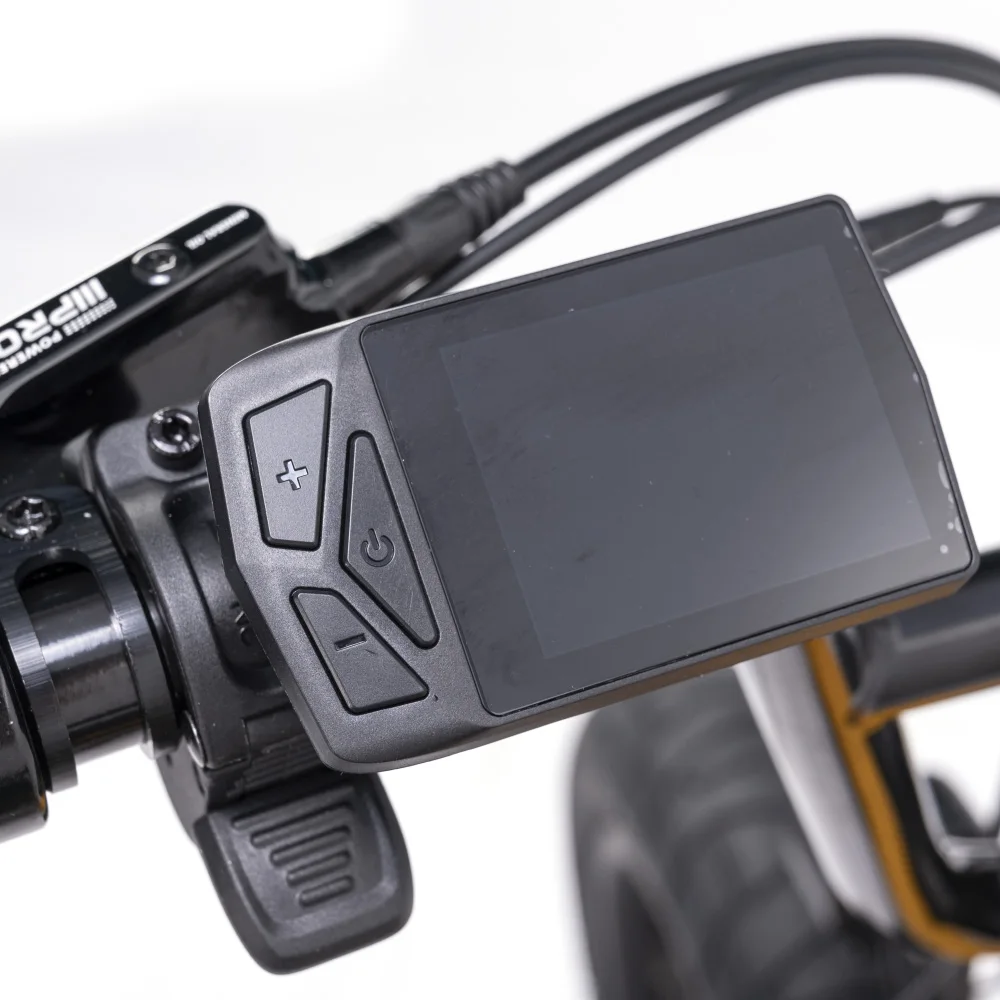 2023 Mario New Bird Hub Motor 250W Fat Tire Electric City Bike