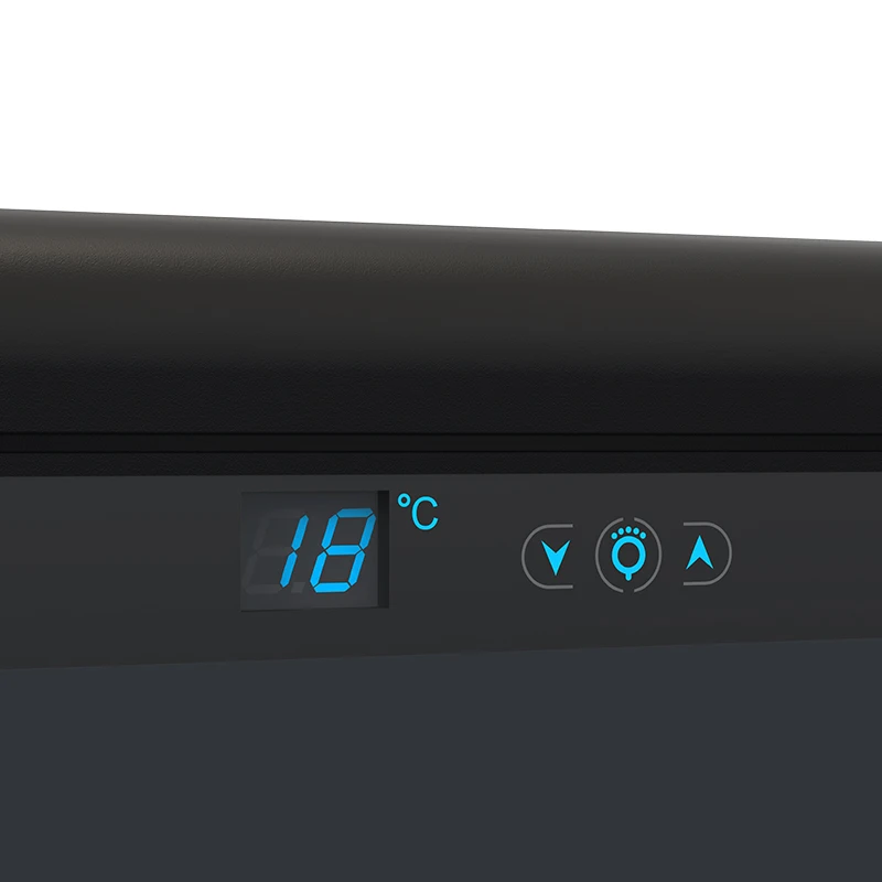 New technology wine cabinet with cooling wine cooler cabinet wine cellar cabinet