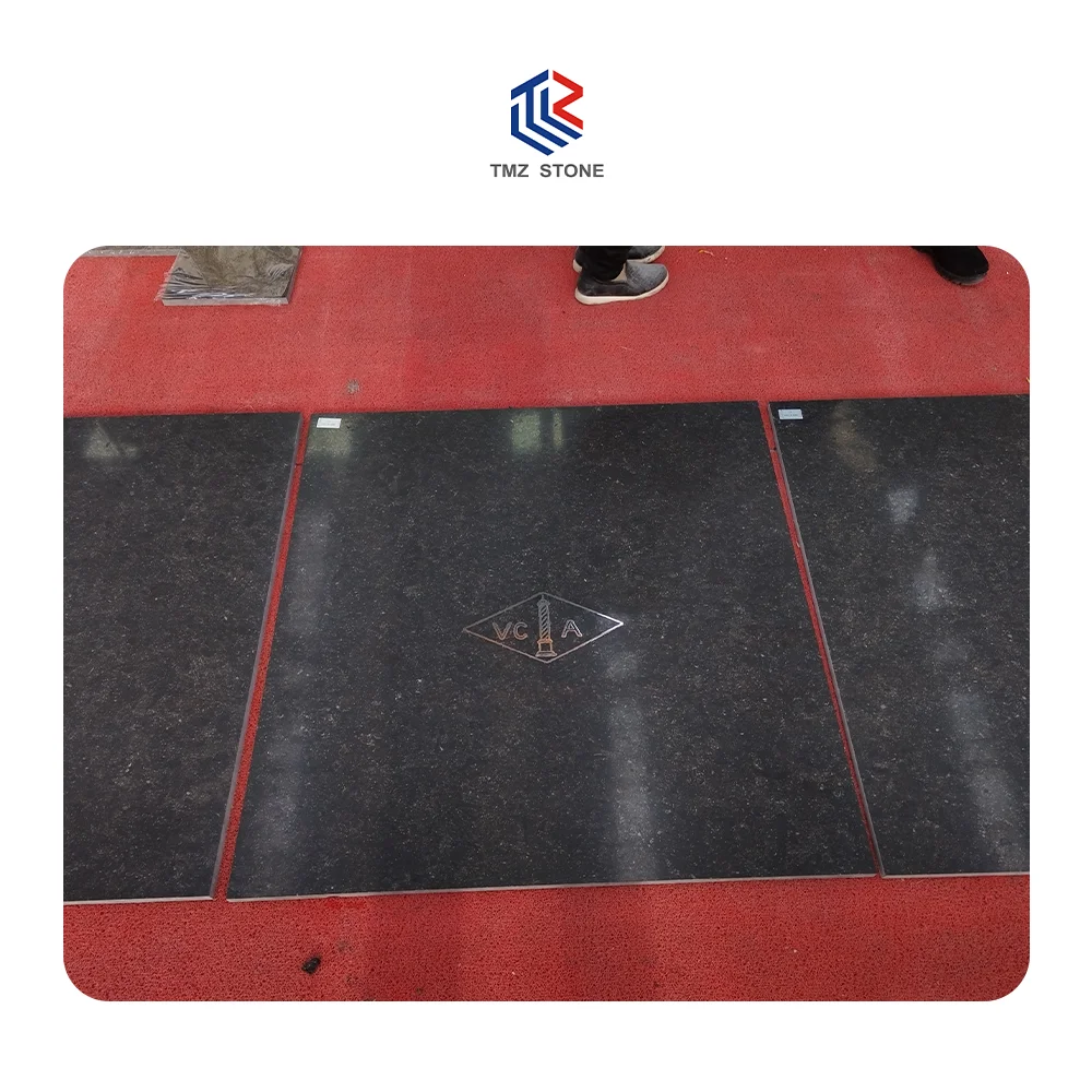 TMZ STONE ODM OEM Natural Hight Quality Modern interior Polished Belgium Hardstone Marble for wall and floor decoration