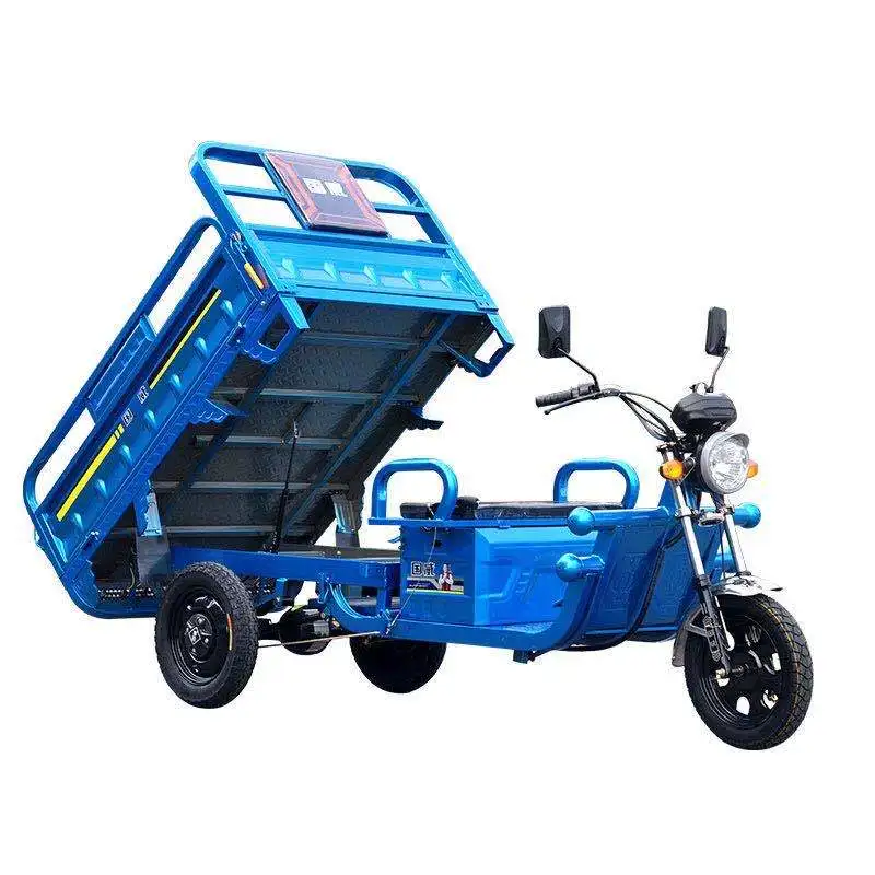Electric Tricycles Rickshaw Moto Motor Kids Trolley Under Sport Car Cargaison Differential Elektrik Bike Chassis Cargo Tricycle