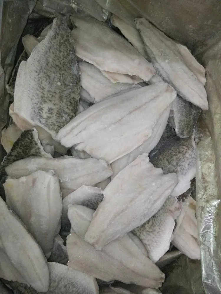 Indonesia Frozen Barramundi Fillet WR