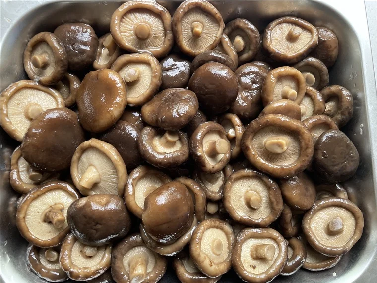 
In Drum 50kgs High Grade Quality Brine mushroom preserved shiitake mushroom whole 