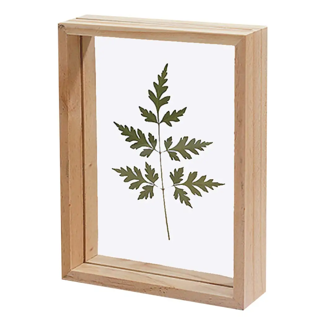 High Quality Custom 4x6 Inch 3d Diy Plant Specimen Double Glass Picture Frame Floating Frame For Pressed Flower Floating Frames