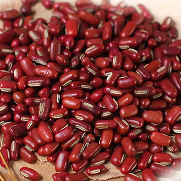 2024 new crop Red Small Red Beans vagna  Adzuki Beans on sale