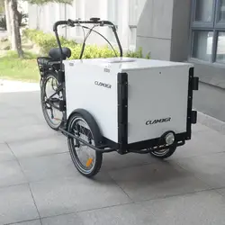 Electric cargo bike ice cream bike with front box loading for sale
