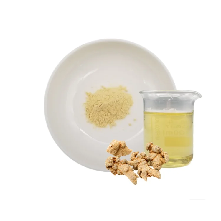 Высококачественный бесплатный образец Sanqi/ Panax Notoginseng экстракт 15% Notoginsenosides