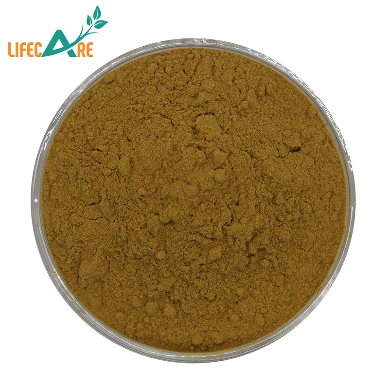 Best quality Marshmallow Powder Althaea Officinalis Root Extract powder
