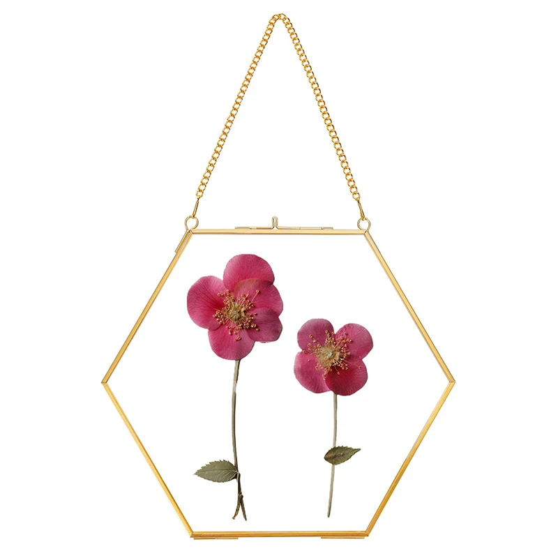 Handmade Small Hexagon Double Glass Pressed Flower Frame Brass Floating Picture Frames for Dried Flowers Home Wall Decor