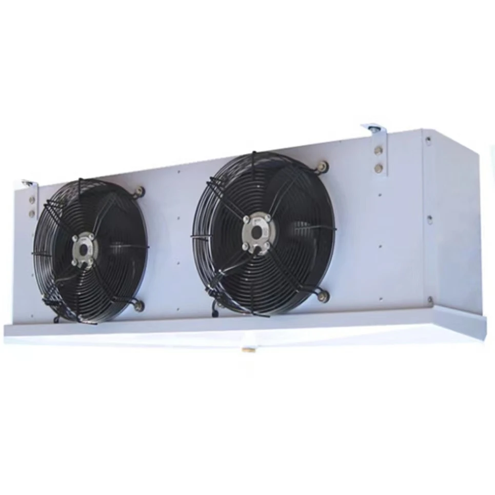 ISO Good Price Low Temperature Cold Room Fridge Walk in  Freezer for Banana Mango or Other Fruit