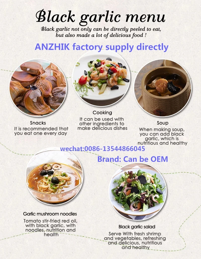 2020 Factory Price For New Healthy Food Multi-Function Black Garlic /Yogurt/Soup/Wine/Pinkle/Bean Maker AZK115-1