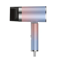 Professional Hair Dryer Motor Low Noise One Step Hair Dryer Travel Mute Ionic Hair Dryer