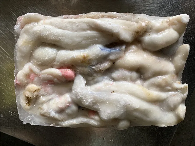 Frozen indian squid roe A grade white color  for Malaysia market