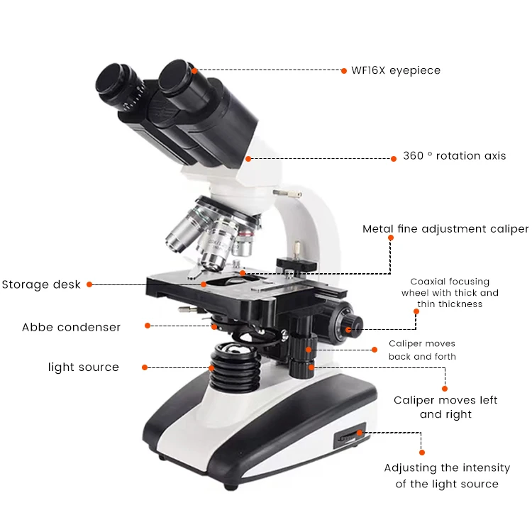 Clinical Binocular Optical LED Insect Biology Blood Microscope Laboratory Biological Video HD Digital Camera Microscope for Lab