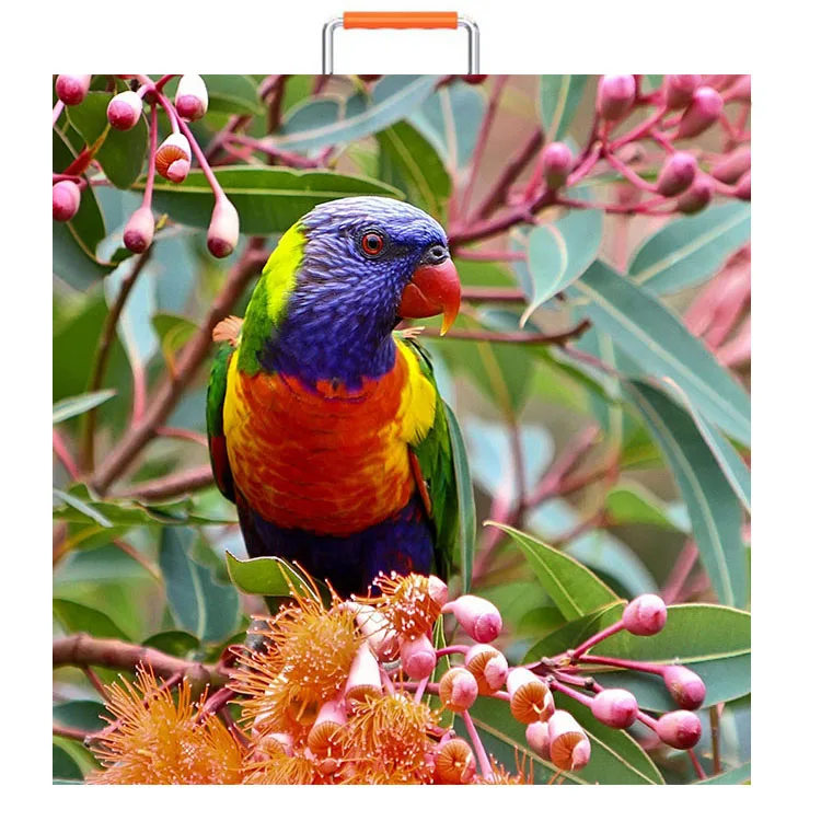 P4 hd video indoor rental Celebrate wedding opening ceremony led display