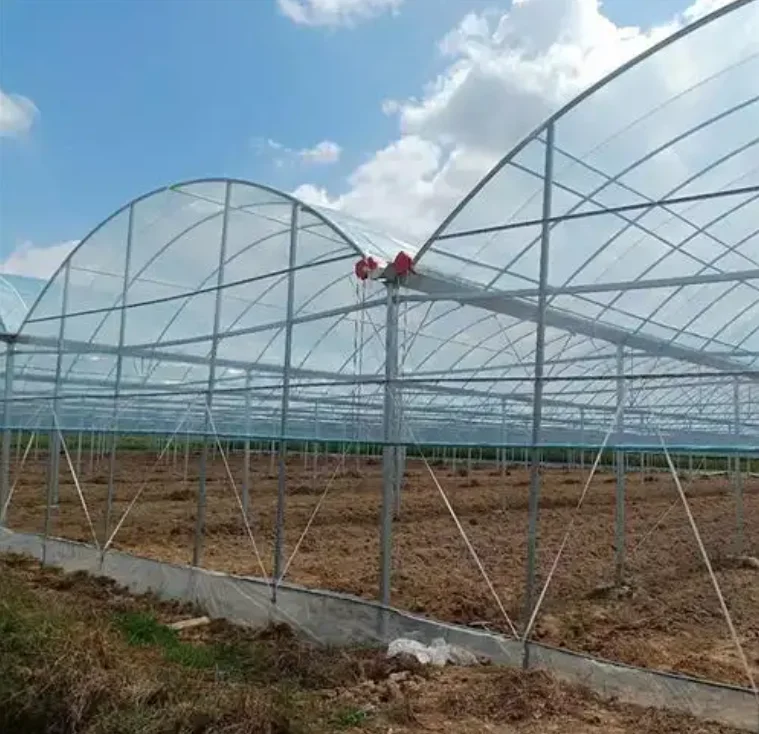 Алюминиевые теплицы сельскохозяйственное оборудование с теплицами тепловое одеяло для продажи