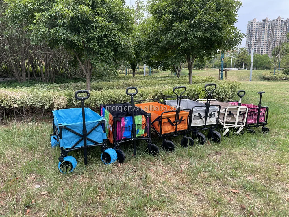 camping wagon1.jpg