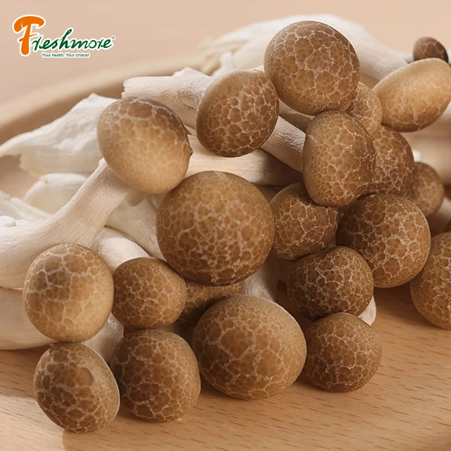 Купить свежие грибы онлайн готовка свежие грибы рядом со мной