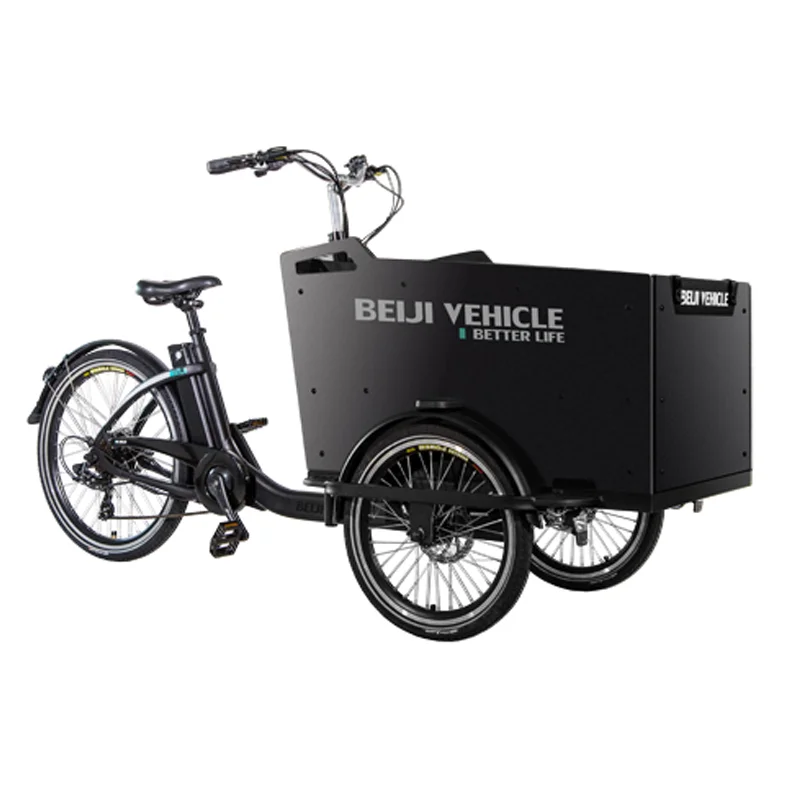 Cargo bike electric  frame tricycle three wheel ebike / family bike bicycle with rain cover