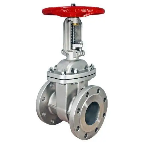 
Stainless steel gate valve API600 class150 gate valve for steam 