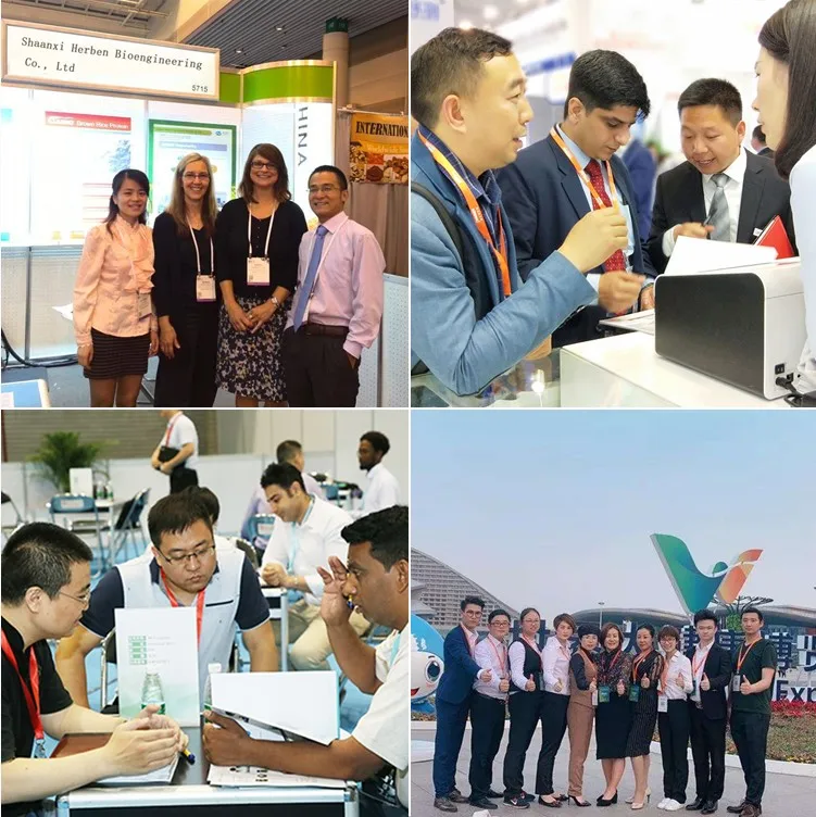 
China Top Supply High quality Bacillus Subtilis Powder CAS 68038-70-0 in stock 