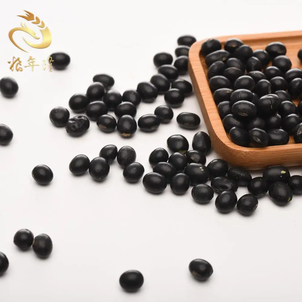 
Best Quality Black Kidney Dry Beans 