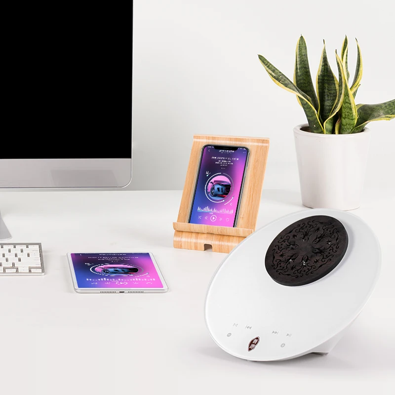Digital Lossless Sound Music Player with Blue Tooth 4.2 Speaker, Deep Bass, Touch Buttons with TF Card Expansion