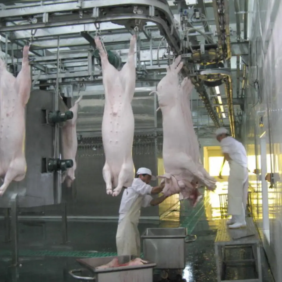 Pig Abattoir Plant Standard Swine Meat Processing Plant with Pig Slaughter Equipment